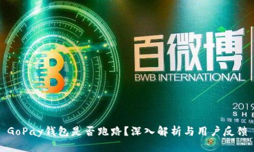GoPay钱包是否跑路？深入解析与用户反馈