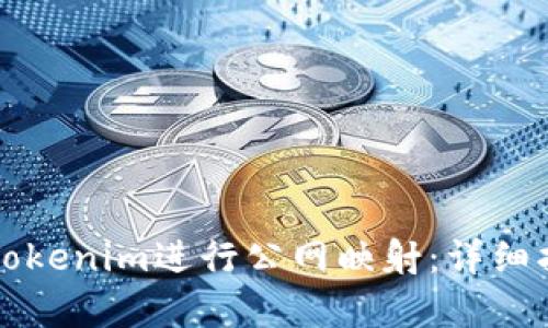 如何有效利用Tokenim进行公网映射：详细指南与最佳实践
