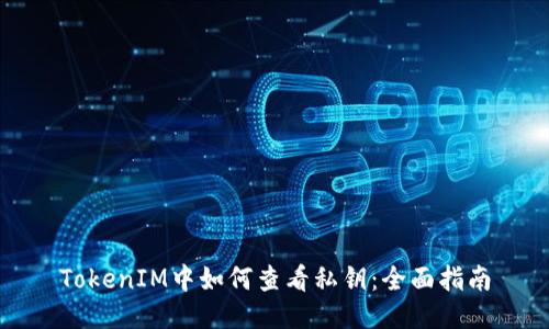 TokenIM中如何查看私钥：全面指南