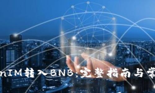 如何将TokenIM转入BNB：完整指南与常见问题解答