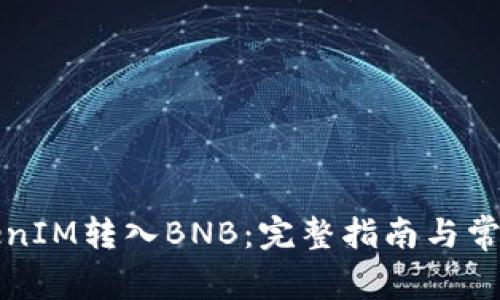 如何将TokenIM转入BNB：完整指南与常见问题解答