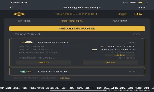 如何有效查询TRC20交易记录：详细指南与实用工具