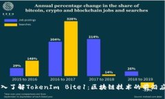 深入了解TokenIm Bite1：区块链技术的前沿应用