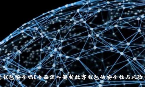 波宝钱包安全吗？全面深入解析数字钱包的安全性与风险管理