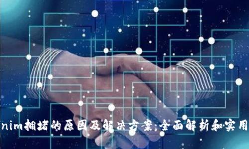 Tokenim拥堵的原因及解决方案：全面解析和实用建议