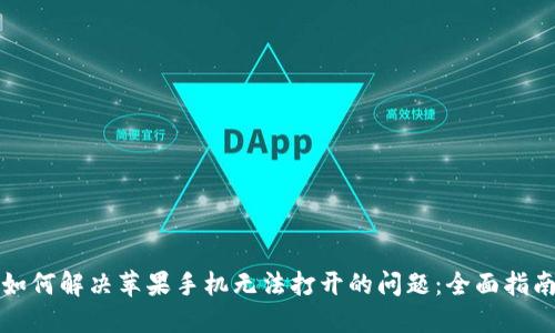 如何解决苹果手机无法打开的问题：全面指南