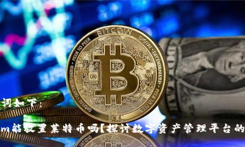 及关键词如下：

Tokenim能放置莱特币吗？探讨数字资产管理平台的多样性