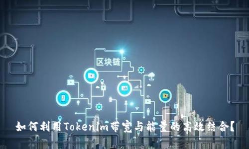 如何利用Tokenim带宽与能量的高效结合？