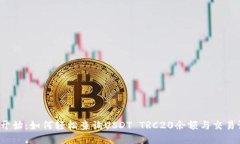 从零开始：如何轻松查询USDT TRC20余额与交易记录