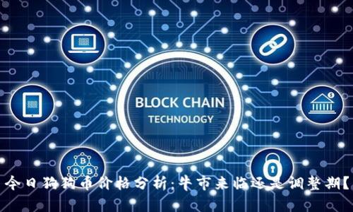 今日狗狗币价格分析：牛市来临还是调整期？