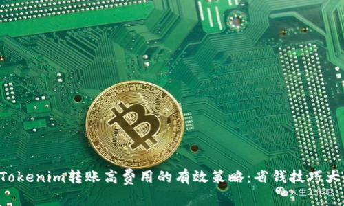解决Tokenim转账高费用的有效策略：省钱技巧大揭秘！