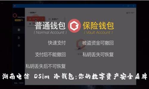 湖南电信 DSim 冷钱包：你的数字资产安全盾牌