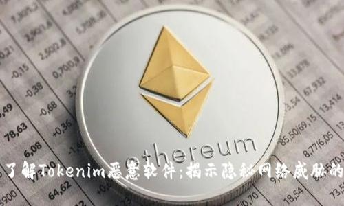 深入了解Tokenim恶意软件：揭示隐秘网络威胁的真相