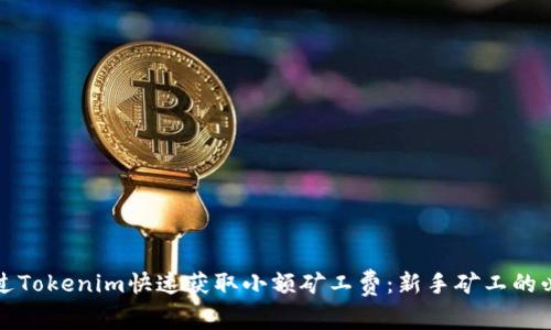 如何通过Tokenim快速获取小额矿工费：新手矿工的必备指南