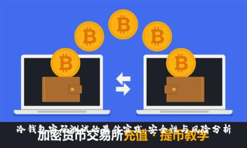 冷钱包密码测试的最佳实践：安全性与风险分析