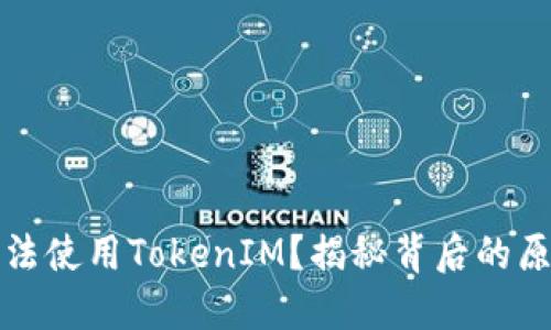 华为为什么无法使用TokenIM？揭秘背后的原因与应对策略