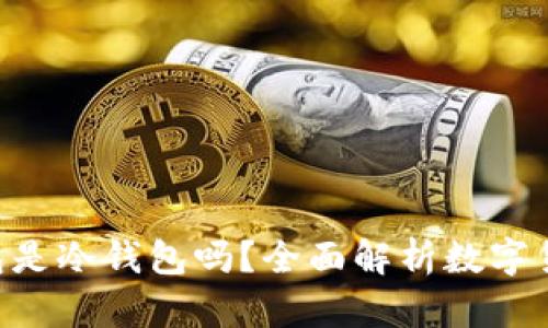 TokenPocket钱包是冷钱包吗？全面解析数字货币安全存储方案