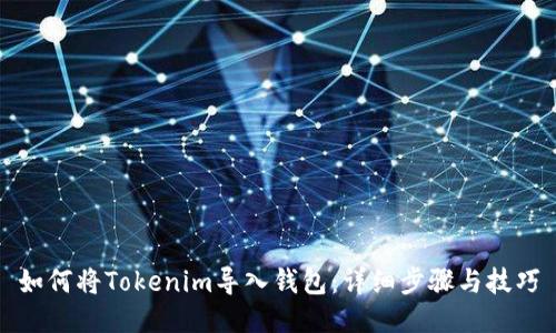如何将Tokenim导入钱包：详细步骤与技巧
