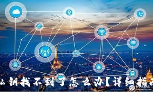   
小狐狸钱包私钥找不到了怎么办？详细指南与解决方案