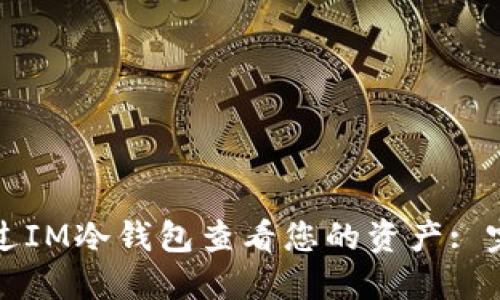 如何通过IM冷钱包查看您的资产: 完整指南
