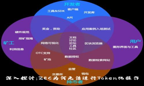 深入探讨：ZEC为何无法进行Token化操作