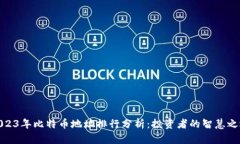 2023年比特币地址排行分析：投资者的智慧之选