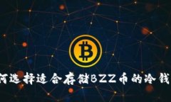 如何选择适合存储BZZ币的