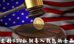 如何支持BSV私钥导入钱包的全面指南